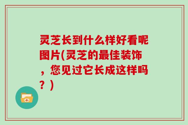 灵芝长到什么样好看呢图片(灵芝的佳装饰,您见过它长成这样吗?) 灵芝长到什么样好看呢图片(灵芝的佳装饰,您见过它长成这样吗?)