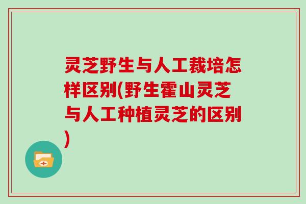 灵芝野生与人工裁培怎样区别(野生霍山灵芝与人工种植灵芝的区别) 灵芝野生与人工裁培怎样区别(野生霍山灵芝与人工种植灵芝的区别)