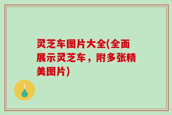 灵芝车图片大全(全面展示灵芝车,附多张精美图片) 灵芝车图片大全(全面展示灵芝车,附多张精美图片)