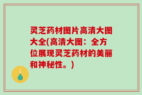 灵芝药材图片高清大图大全(高清大图:全方位展现灵芝药材的美丽和神秘性。) 灵芝药材图片高清大图大全(高清大图:全方位展现灵芝药材的美丽和神秘性。)