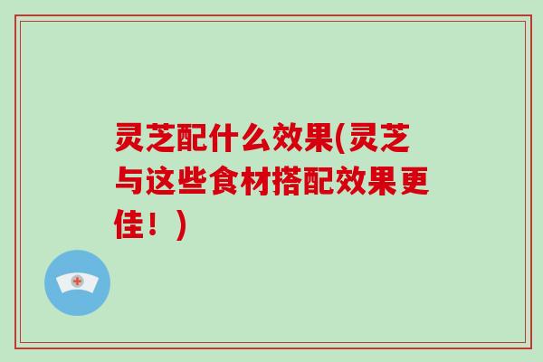 灵芝配什么效果(灵芝与这些食材搭配效果更佳！)
