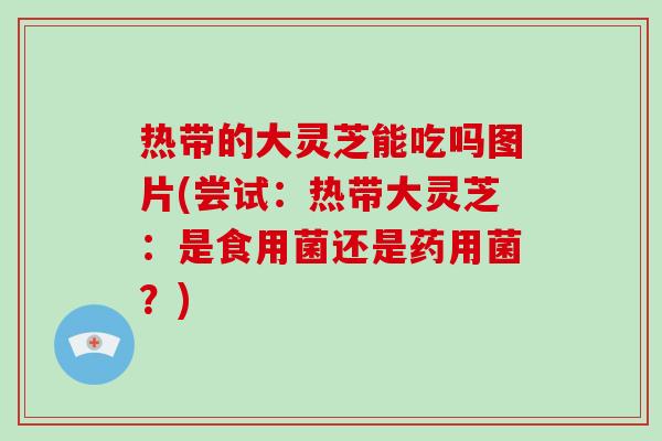 热带的大灵芝能吃吗图片(尝试:热带大灵芝:是食用菌还是药用菌?) 热带的大灵芝能吃吗图片(尝试:热带大灵芝:是食用菌还是药用菌?)