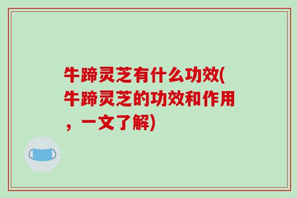 牛蹄灵芝有什么功效(牛蹄灵芝的功效和作用，一文了解)