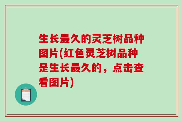 生长久的灵芝树品种图片(红色灵芝树品种是生长久的,点击查看图片) 生长久的灵芝树品种图片(红色灵芝树品种是生长久的,点击查看图片)