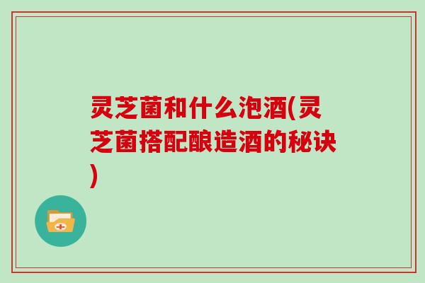 灵芝菌和什么泡酒(灵芝菌搭配酿造酒的秘诀) 灵芝菌和什么泡酒(灵芝菌搭配酿造酒的秘诀)