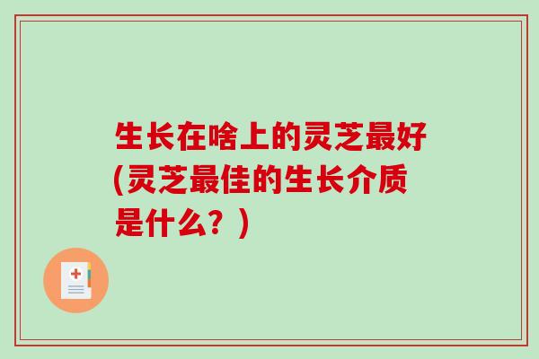 生长在啥上的灵芝最好(灵芝最佳的生长介质是什么？)
