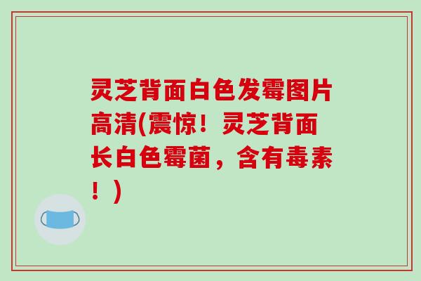灵芝背面白色发霉图片高清(震惊！灵芝背面长白色霉菌，含有毒素！)