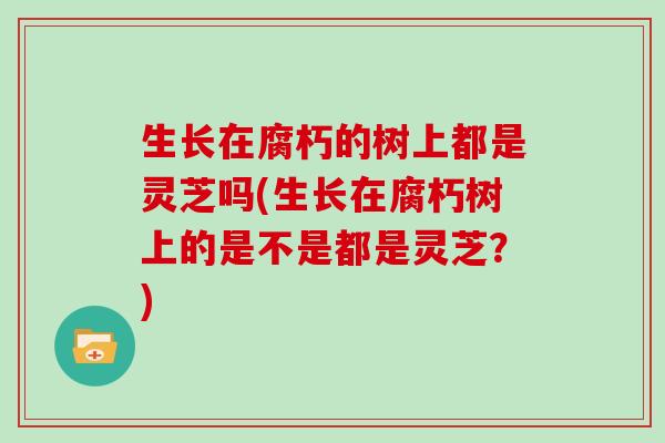 生长在腐朽的树上都是灵芝吗(生长在腐朽树上的是不是都是灵芝?) 生长在腐朽的树上都是灵芝吗(生长在腐朽树上的是不是都是灵芝?)