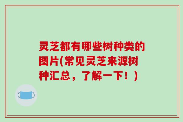 灵芝都有哪些树种类的图片(常见灵芝来源树种汇总,了解一下!) 灵芝都有哪些树种类的图片(常见灵芝来源树种汇总,了解一下!)