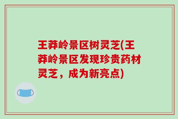 王莽岭景区树灵芝(王莽岭景区发现珍贵药材灵芝，成为新亮点)