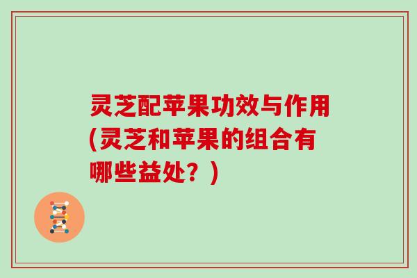 灵芝配苹果功效与作用(灵芝和苹果的组合有哪些益处?) 灵芝配苹果功效与作用(灵芝和苹果的组合有哪些益处?)