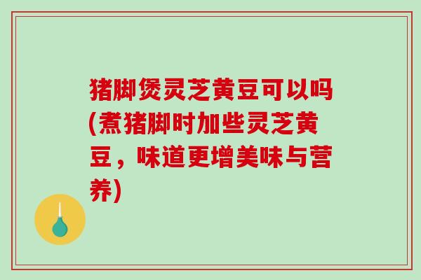 猪脚煲灵芝黄豆可以吗(煮猪脚时加些灵芝黄豆,味道更增美味与营养) 猪脚煲灵芝黄豆可以吗(煮猪脚时加些灵芝黄豆,味道更增美味与营养)