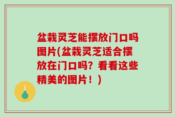 盆栽灵芝能摆放门口吗图片(盆栽灵芝适合摆放在门口吗?看看这些精美的图片!) 盆栽灵芝能摆放门口吗图片(盆栽灵芝适合摆放在门口吗?看看这些精美的图片!)