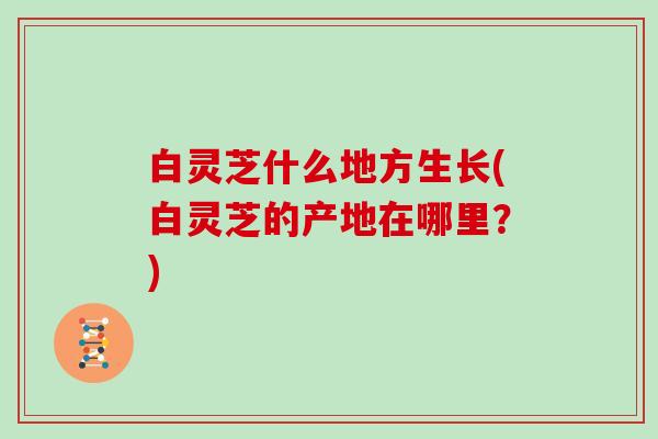白灵芝什么地方生长(白灵芝的产地在哪里?) 白灵芝什么地方生长(白灵芝的产地在哪里?)