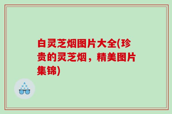 白灵芝烟图片大全(珍贵的灵芝烟,精美图片集锦) 白灵芝烟图片大全(珍贵的灵芝烟,精美图片集锦)