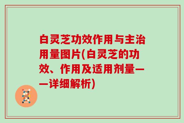 白灵芝功效作用与主治用量图片(白灵芝的功效、作用及适用剂量——详细解析)