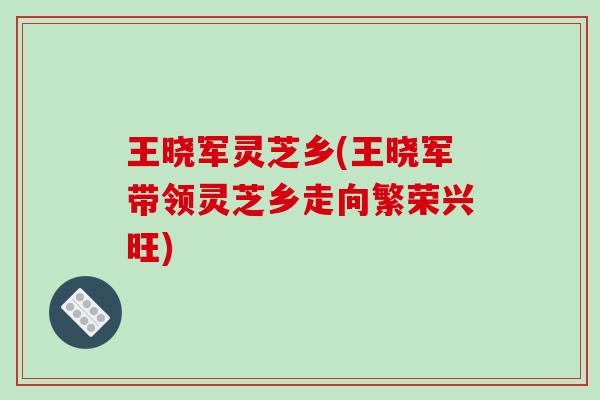 王晓军灵芝乡(王晓军带领灵芝乡走向繁荣兴旺)
