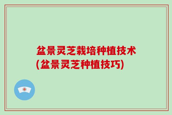 盆景灵芝栽培种植技术(盆景灵芝种植技巧) 盆景灵芝栽培种植技术(盆景灵芝种植技巧)