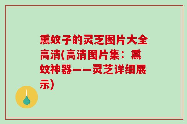 熏蚊子的灵芝图片大全高清(高清图片集:熏蚊神器——灵芝详细展示) 熏蚊子的灵芝图片大全高清(高清图片集:熏蚊神器——灵芝详细展示)