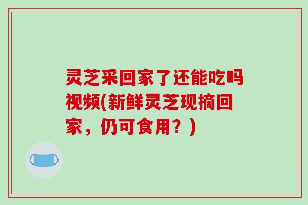 灵芝采回家了还能吃吗视频(新鲜灵芝现摘回家,仍可食用?) 灵芝采回家了还能吃吗视频(新鲜灵芝现摘回家,仍可食用?)