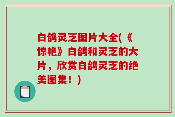 白鸽灵芝图片大全(《惊艳》白鸽和灵芝的大片,欣赏白鸽灵芝的绝美图集!) 白鸽灵芝图片大全(《惊艳》白鸽和灵芝的大片,欣赏白鸽灵芝的绝美图集!)
