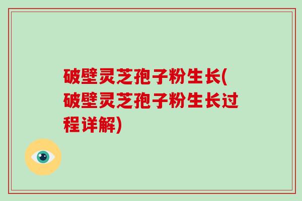 破壁灵芝孢子粉生长(破壁灵芝孢子粉生长过程详解)