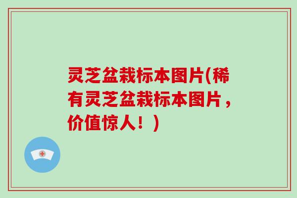 灵芝盆栽标本图片(稀有灵芝盆栽标本图片,价值惊人!) 灵芝盆栽标本图片(稀有灵芝盆栽标本图片,价值惊人!)