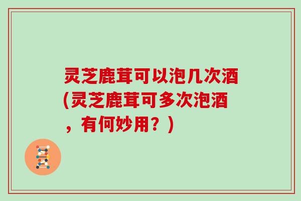 灵芝鹿茸可以泡几次酒(灵芝鹿茸可多次泡酒,有何妙用?) 灵芝鹿茸可以泡几次酒(灵芝鹿茸可多次泡酒,有何妙用?)