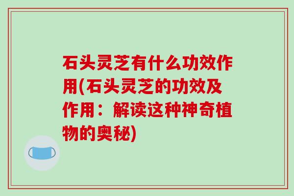 石头灵芝有什么功效作用(石头灵芝的功效及作用：解读这种神奇植物的奥秘)