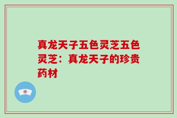 真龙天子五色灵芝五色灵芝:真龙天子的珍贵药材 真龙天子五色灵芝五色灵芝:真龙天子的珍贵药材