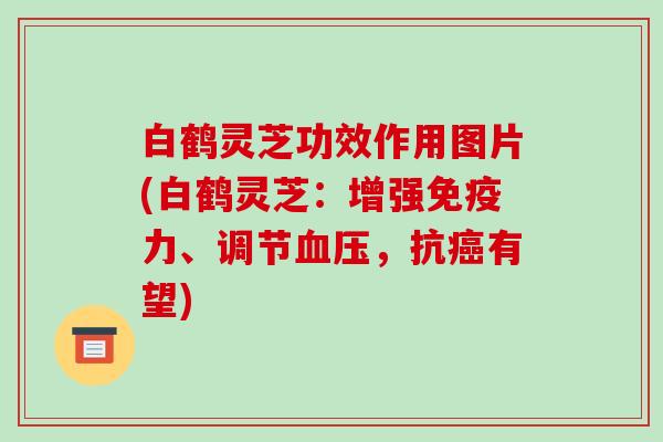 白鹤灵芝功效作用图片(白鹤灵芝:增强免疫力、调节,抗有望) 白鹤灵芝功效作用图片(白鹤灵芝:增强免疫力、调节,抗有望)