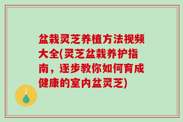 盆栽灵芝养植方法视频大全(灵芝盆栽养护指南，逐步教你如何育成健康的室内盆灵芝)