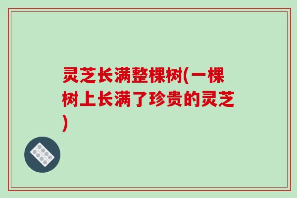 灵芝长满整棵树(一棵树上长满了珍贵的灵芝)
