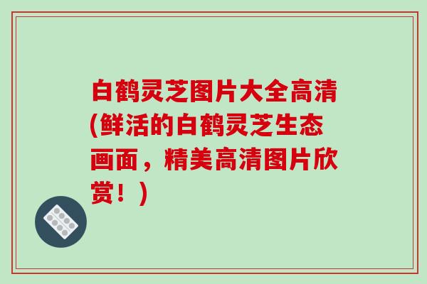 白鹤灵芝图片大全高清(鲜活的白鹤灵芝生态画面，精美高清图片欣赏！)