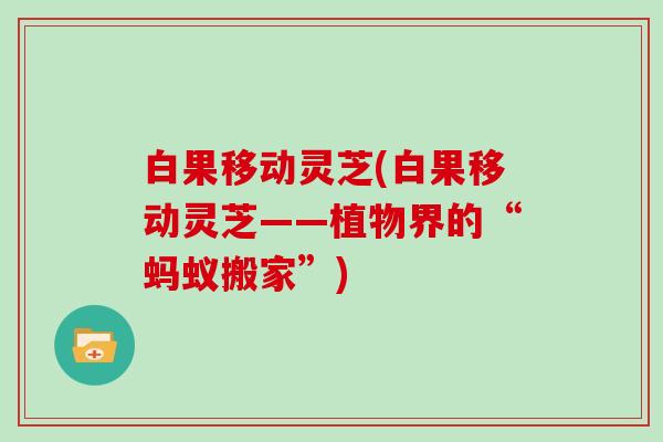白果移动灵芝(白果移动灵芝——植物界的“蚂蚁搬家”) 白果移动灵芝(白果移动灵芝——植物界的“蚂蚁搬家”)