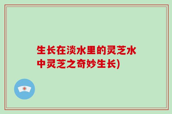生长在淡水里的灵芝水中灵芝之奇妙生长)