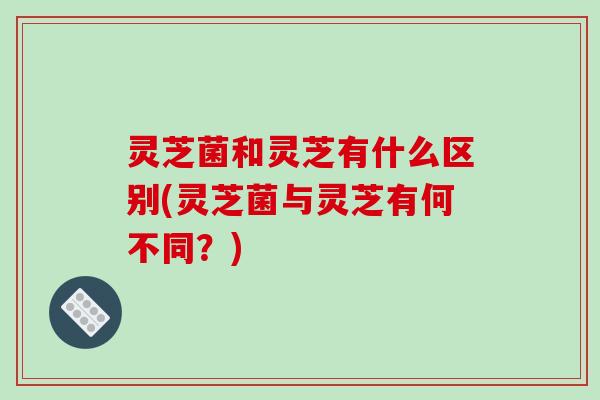灵芝菌和灵芝有什么区别(灵芝菌与灵芝有何不同？)