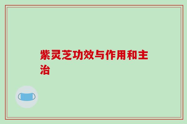 紫灵芝功效与作用和主治