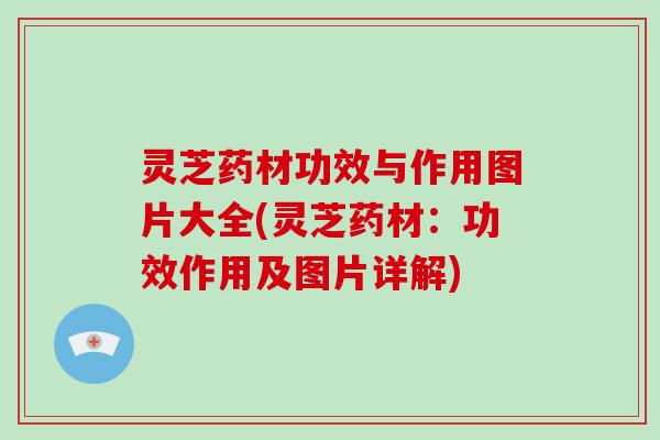 灵芝药材功效与作用图片大全(灵芝药材:功效作用及图片详解) 灵芝药材功效与作用图片大全(灵芝药材:功效作用及图片详解)