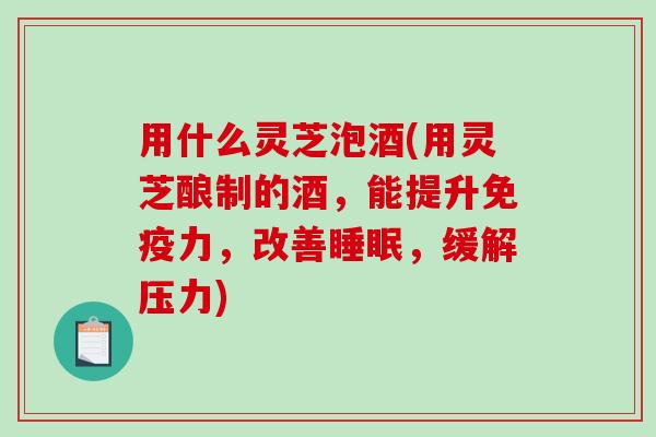 用什么灵芝泡酒(用灵芝酿制的酒,能提升免疫力,改善,缓解压力) 用什么灵芝泡酒(用灵芝酿制的酒,能提升免疫力,改善,缓解压力)