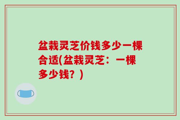 盆栽灵芝价钱多少一棵合适(盆栽灵芝：一棵多少钱？)