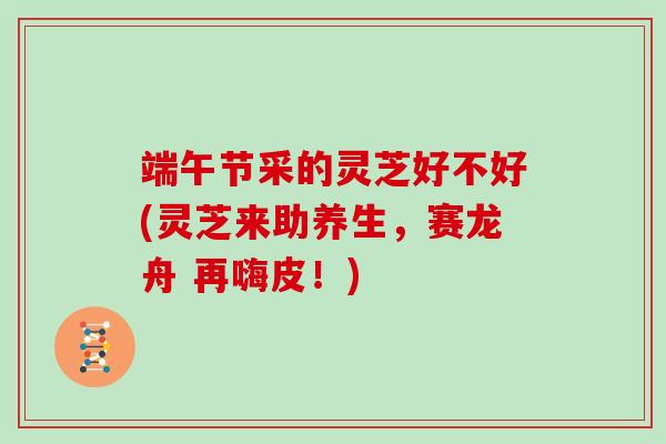 端午节采的灵芝好不好(灵芝来助养生,赛龙舟 再嗨皮!) 端午节采的灵芝好不好(灵芝来助养生,赛龙舟 再嗨皮!)