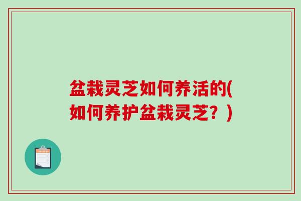 盆栽灵芝如何养活的(如何养护盆栽灵芝?) 盆栽灵芝如何养活的(如何养护盆栽灵芝?)