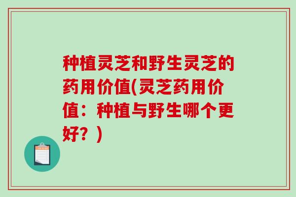 种植灵芝和野生灵芝的药用价值(灵芝药用价值:种植与野生哪个更好?) 种植灵芝和野生灵芝的药用价值(灵芝药用价值:种植与野生哪个更好?)