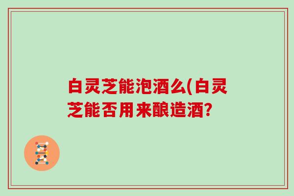 白灵芝能泡酒么(白灵芝能否用来酿造酒？