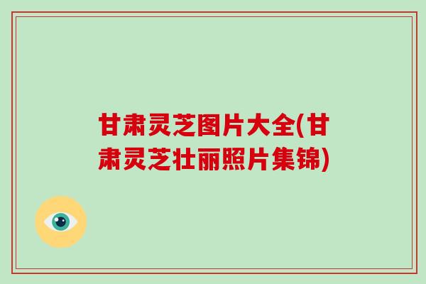 甘肃灵芝图片大全(甘肃灵芝壮丽照片集锦)