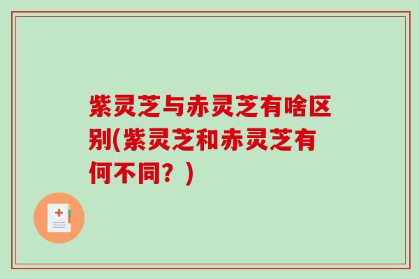 紫灵芝与赤灵芝有啥区别(紫灵芝和赤灵芝有何不同?) 紫灵芝与赤灵芝有啥区别(紫灵芝和赤灵芝有何不同?)