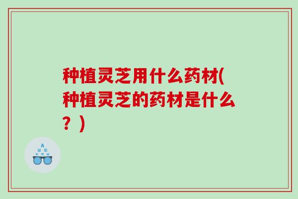 种植灵芝用什么药材(种植灵芝的药材是什么?) 种植灵芝用什么药材(种植灵芝的药材是什么?)