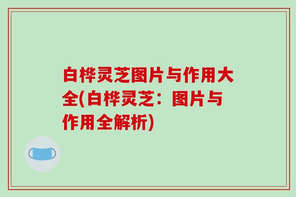 白桦灵芝图片与作用大全(白桦灵芝:图片与作用全解析) 白桦灵芝图片与作用大全(白桦灵芝:图片与作用全解析)