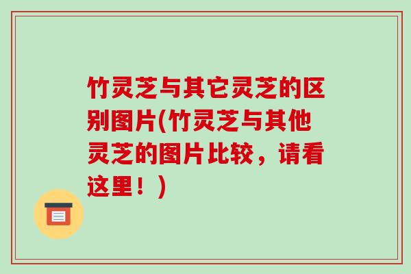 竹灵芝与其它灵芝的区别图片(竹灵芝与其他灵芝的图片比较，请看这里！)